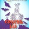 CRUCEA LUI MORRIGAN-NORA ROBERTS-263293