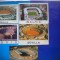 HOPCT LOT NR 490 STADION/STADIOANE DIN SPANIA-5 CARTI POSTALE-NECIRCULATE