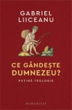 Cumpara ieftin Ce Gandeste Dumnezeu? Putina Teologie, Gabriel Liiceanu - Editura Humanitas