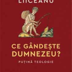 Ce Gandeste Dumnezeu? Putina Teologie, Gabriel Liiceanu - Editura Humanitas