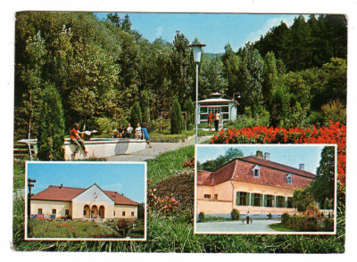 BODOC COLAJ IZVOR DE APA MINERALA CAMINUL TABARA DE PIONIERI CONACUL MIKO foto