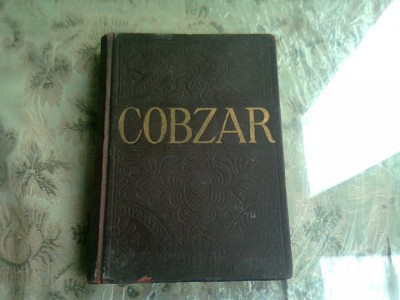 COBZARUL - TARAS SEVCENCO foto
