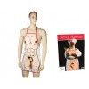 Șorț Bucătărie Amuzant Penis Orion - Șorț Sexy cu Penis de Pluș, Obiect Decorativ Inedit