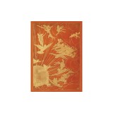 Orange Fairy Journal (Diary, Notebook)
