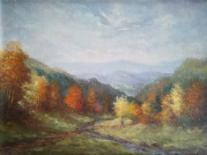 tablou Spre muntele Gaina, Vergiliu Vasinca, ulei pe carton, 34x47 cm, rama gri foto