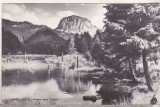bnk cp Lacul Rosu - Vedere spre Suhard - uzata