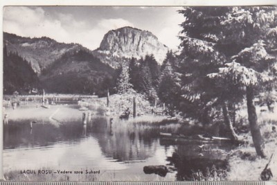 bnk cp Lacul Rosu - Vedere spre Suhard - uzata foto