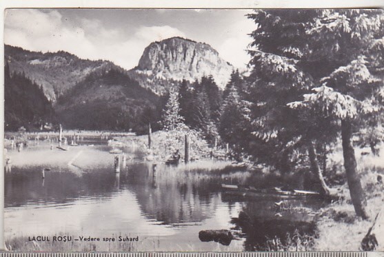 bnk cp Lacul Rosu - Vedere spre Suhard - uzata