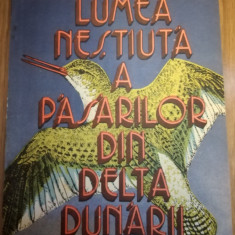 Lumea nestiuta a pasarilor din Delta Dunarii, Dimitrie Radu