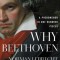 Why Beethoven: A Phenomenon in One Hundred Pieces