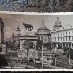 Carte postala Cluj, statuia Lupoaicei, 1936, necirculata,stare buna