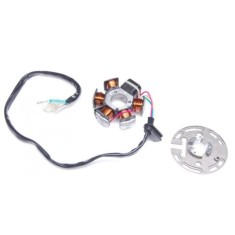 Magnetou Stator Derbi Senda 2008 6 Fire