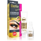 Delia Cosmetics Eyebrow Expert activator vopsea spr&acirc;ncene culoare 1.1. Graphite 2 x 15 ml