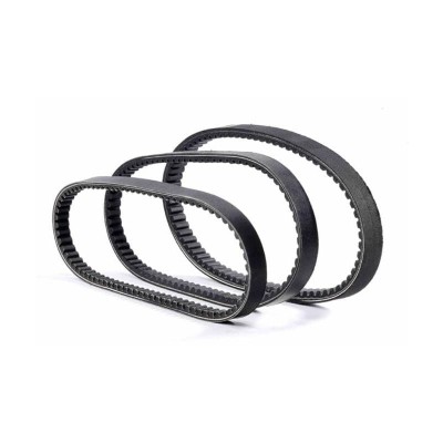 Curea transmisie 790 foto