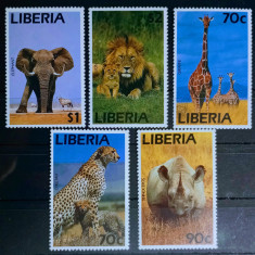 Liberia 1995 fauna africana, animale sălbatice, serie nestampilat