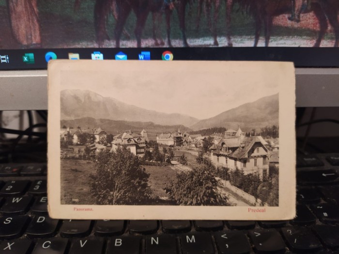 Predeal, Panorama, circa 1910, 205