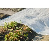 Husa Plante Nature 4x6m, 100&micro;, Transparenta - Folie Protectie Rasaduri, Polietilena LDPE, Multifunctionala