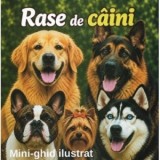 Rase de caini - Ionescu Andreea-Alexandra