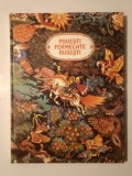Povești fermecate rusești (ilustrații de N. Kocerghin; 1990)