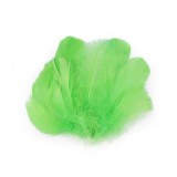 Set 20 pene decorative de strut lungime 6-10 cm, Verde deschis