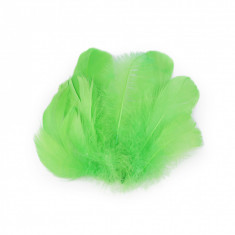 Set 20 pene decorative de strut lungime 6-10 cm, Verde deschis