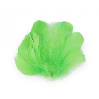 Set 20 pene decorative de strut lungime 6-10 cm, Verde deschis foto