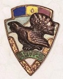 CY Insigna "A.G.V.P.S. AGVPS (Asociatia Generala a Vanatorilor &amp; Pescarilor Sportivi)" RSR comunism 2 cm x 2 cm / cocos de munte prindere ferma Stare!