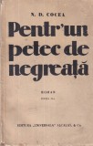 N. D. Cocea - Pentr'un petec de negreata (1934), Carte veche, Brosata, 435 pagini, 13x20 cm, Romana