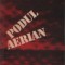 Podul aerian