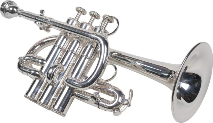 Trompeta Piccolo Bb A Karl Glaser Trompete Silver