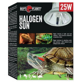 Bec REPTI PLANET Halogen Sun 25W