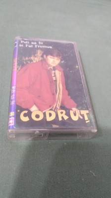 CASETA AUDIO PUIU CODREANU -POTI SA FII SI FAT FRUMOS ORIGINALA FOARTE RARA !!! foto