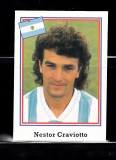 B10 - Sticker fotbal - Campionatul mondial USA - 1994 - nr 220