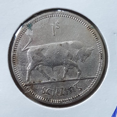 s303 Irlanda 1 shilling 1963 foto