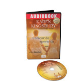 Un licar de speranta. Audiobook - Karen Kingsbury