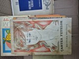Cartea fetelor vintage