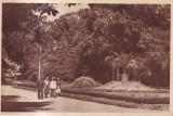 Buzias - Parcul (circulata 1952)