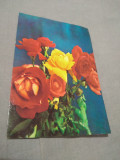 Cumpara ieftin CARTE POSTALA --FELICITARE CIRCULATA