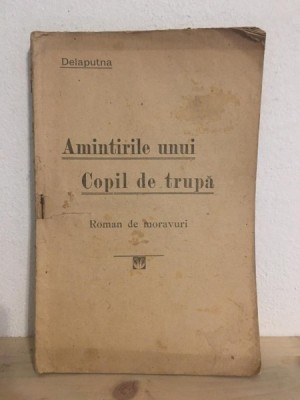 Delaputna - Amintirile unui Copil de Trupa foto
