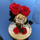 Cumpara ieftin 3 Trandafiri Criogenati 2 rosii, 1 auriu &Oslash;6,5cm, cupola 17x28cm
