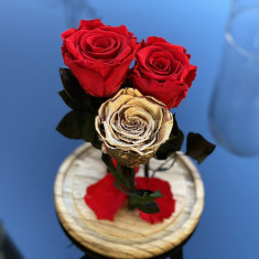 3 Trandafiri Criogenati 2 rosii, 1 auriu Ø6,5cm, cupola 17x28cm