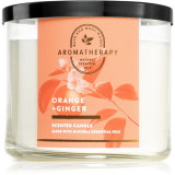 Bath &amp; Body Works Orange &amp; Ginger lum&acirc;nare parfumată 411 g