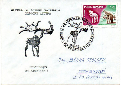 Romania, Fauna, Muzeul Antipa foto