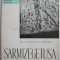 Sarmizegetusa &ndash; C. Daicoviciu, H. Daicoviciu