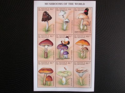 ST.VINCENT MNH=71 foto