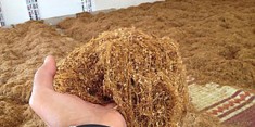 Tutun firicel calitate superioara 1 kg costa 150 lei si transport gratuit
