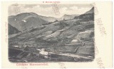 535 - BORSA, Maramures, Panorama, Litho, Romania - old postcard - unused, Necirculata, Printata