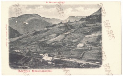 535 - BORSA, Maramures, Panorama, Litho, Romania - old postcard - unused foto