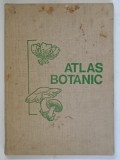ATLAS BOTANIC de LUCIA POPOVICI , CONSTANTA MORUZI , ION TOMA , 1973 *MINIMA UZURA
