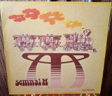 Disc vinil - Semnal M - Trenul cursa de persoane NM